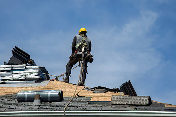 Professional Roof Replacement technician working in Carbon Cliff, IL